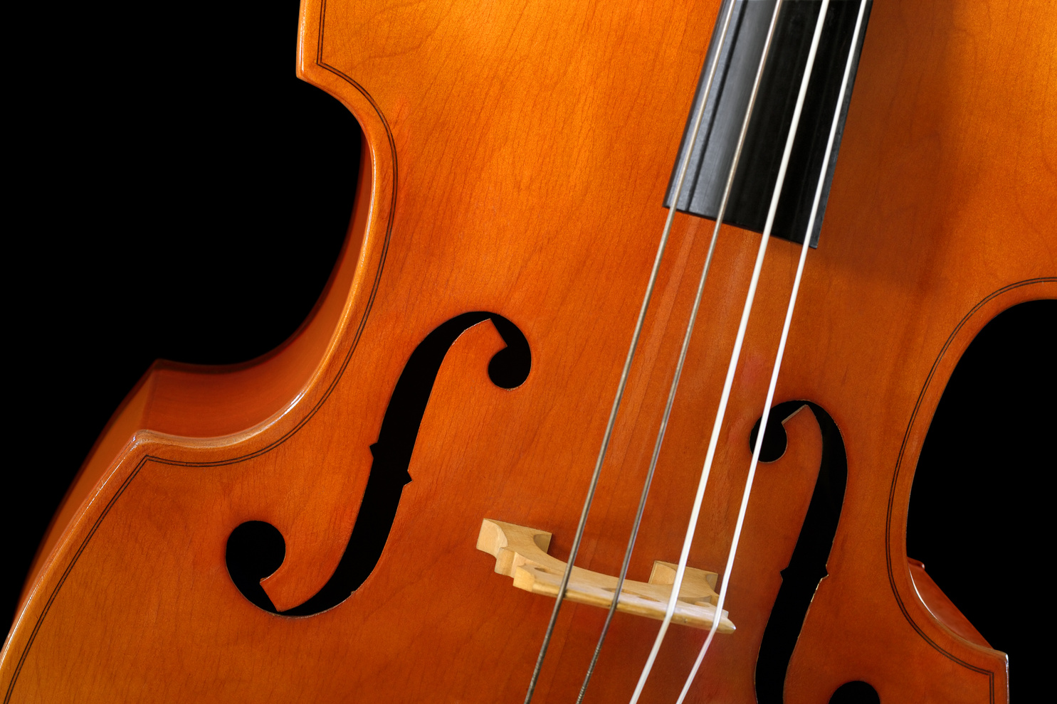 Double bass